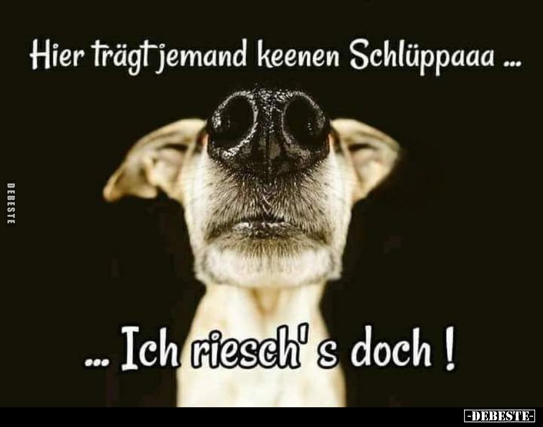 Hier trägt jemand keenen Schlüppaaa... - Ich riesch's doch!