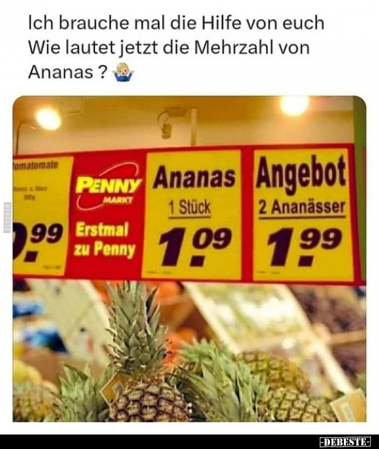 Wie lautet jetzt die Mehrzahl von Ananas?.. - Lustige Bilder | DEBESTE.de