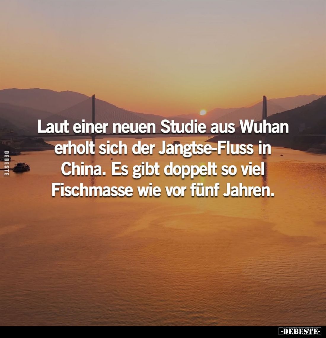 Laut einer neuen Studie aus Wuhan erholt sich der Jangtse-Fluss in China. Es gibt doppelt so viel Fischmasse wie vor fünf Jah...