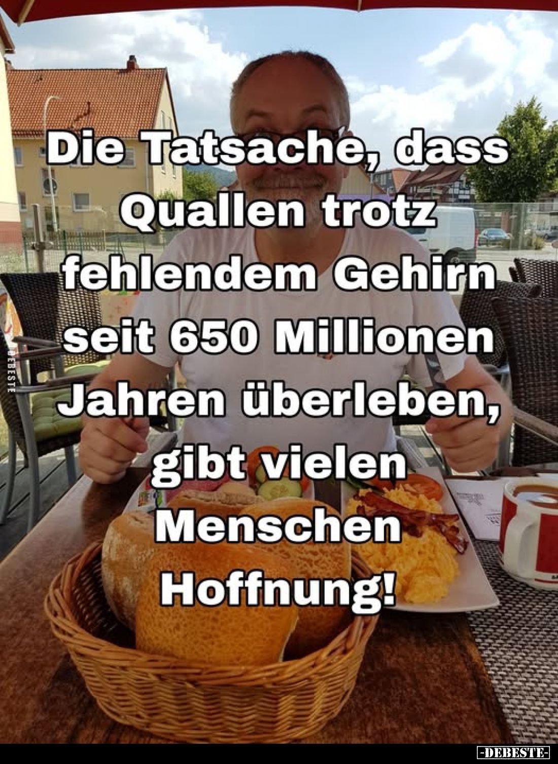 Die Tatsache, dass Quallen trotz fehlendem Gehirn seit 650 Millionen Jahren überleben, gibt vielen Menschen Hoffnung!