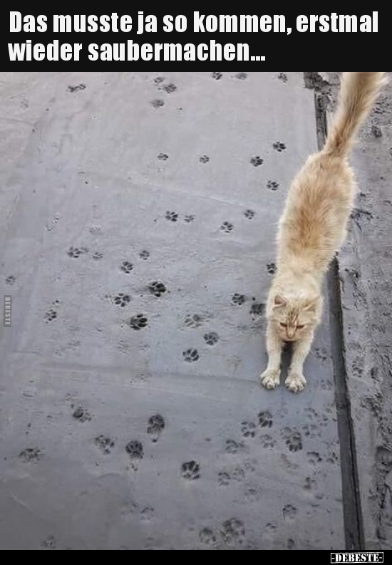 Das musste ja so kommen, erstmal wieder saubermachen...