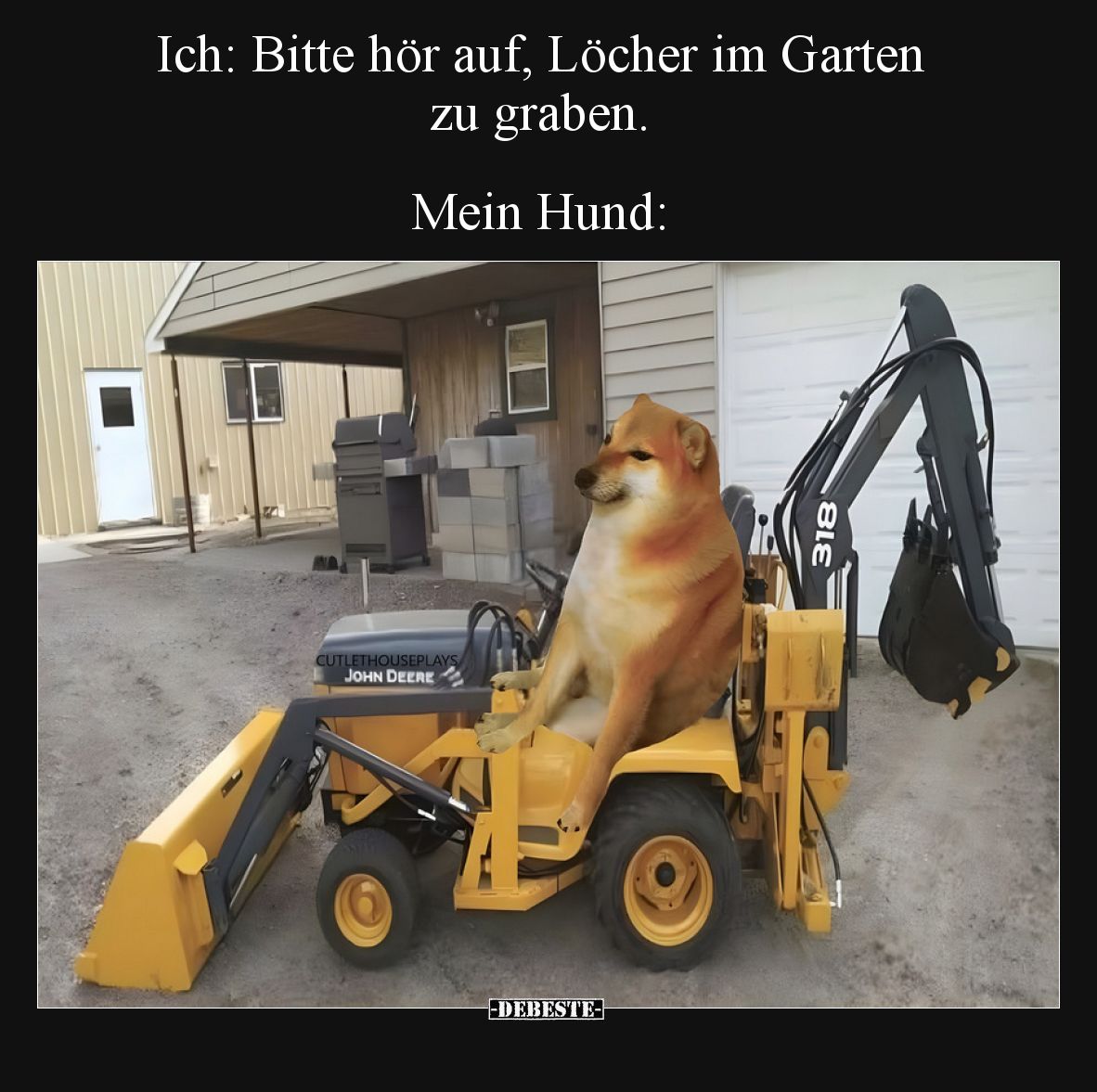 Ich: Bitte hör auf, Löcher im Garten zu graben.  Mein Hund: