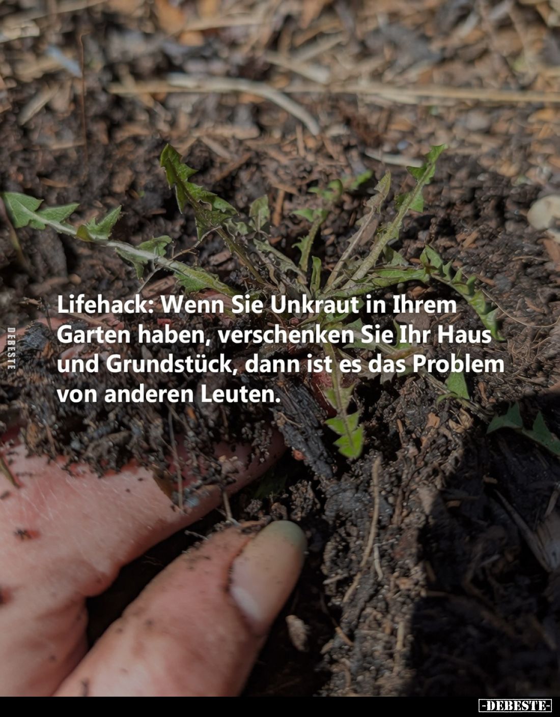 Lifehack: Wenn Sie Unkraut in Ihrem Garten haben, verschenken Sie Ihr Haus und Grundstück, dann ist es das Problem von andere...