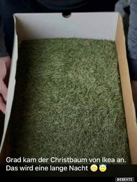 Grad kam der Christbaum von Ikea an. Das wird eine lange.. - Lustige Bilder | DEBESTE.de