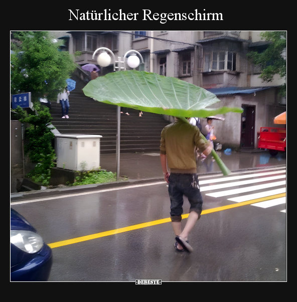 Natürlicher Regenschirm.. - Lustige Bilder | DEBESTE.de