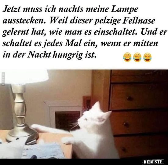 Jetzt muss ich nachts meine Lampe ausstecken. Weil dieser.. - Lustige Bilder | DEBESTE.de