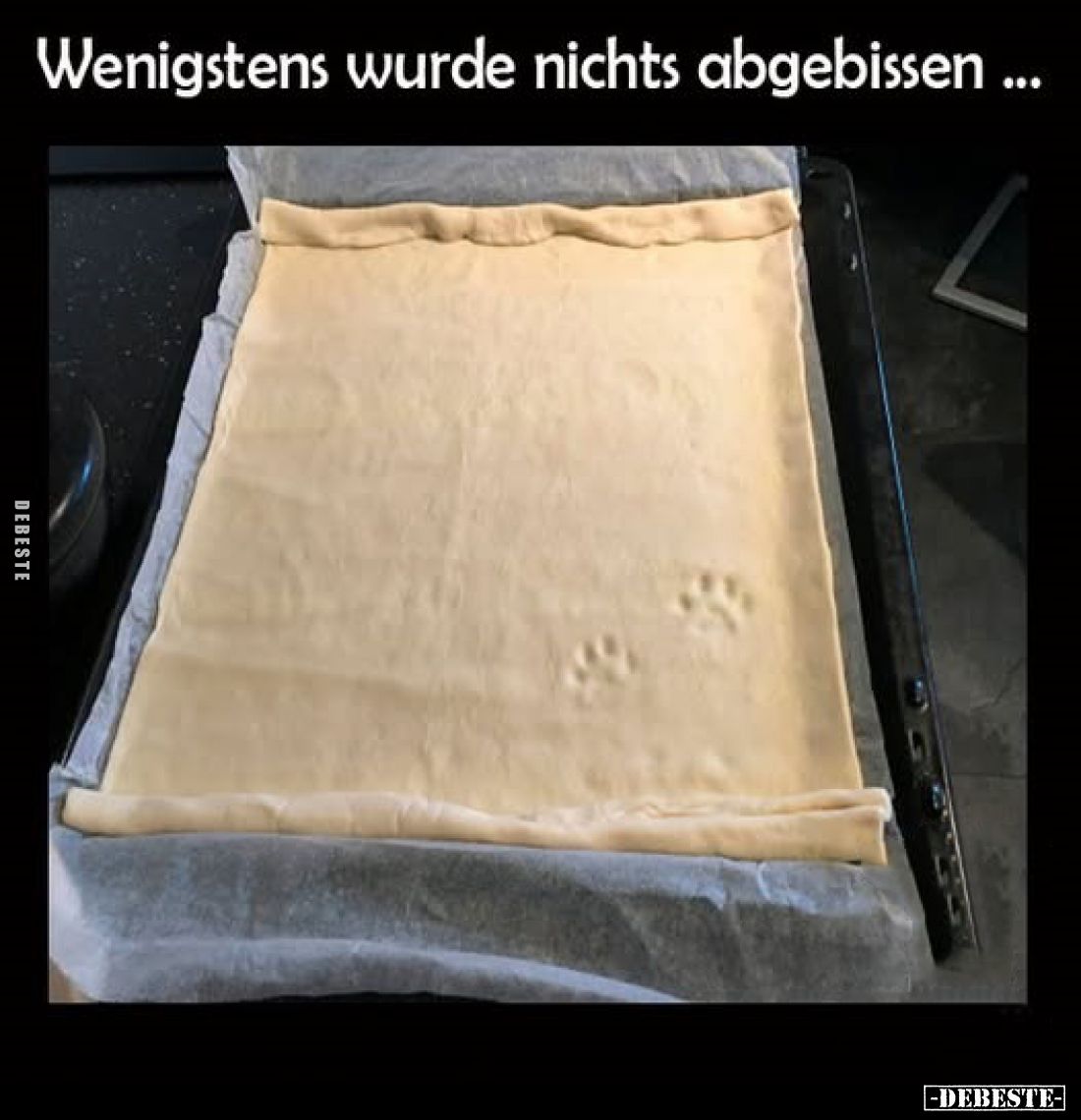 Wenigstens wurde nichts abgebissen...