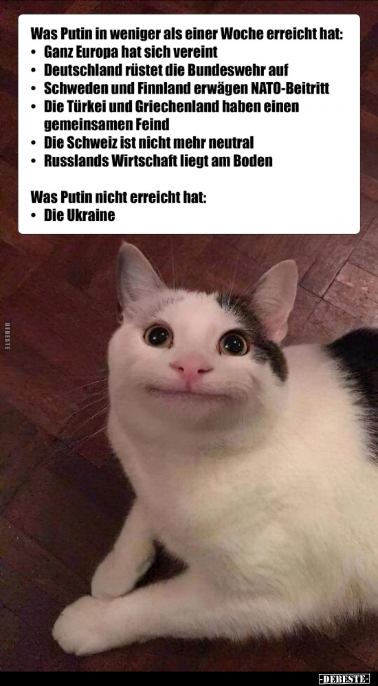 Was Putin in weniger als einer Woche erreicht hat: