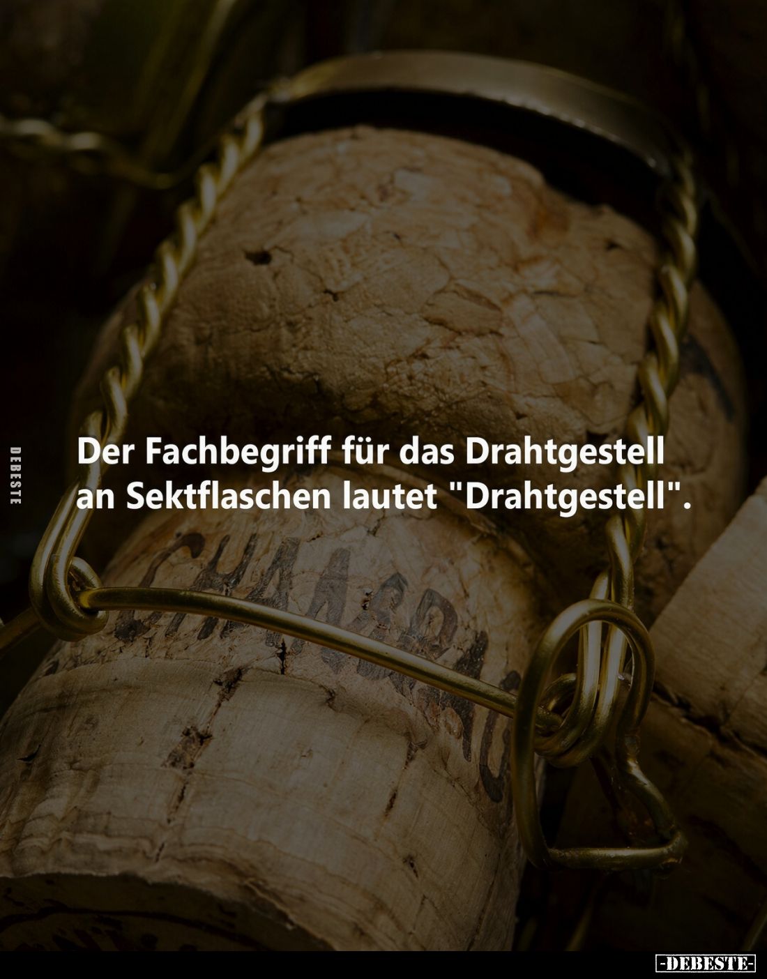 Der Fachbegriff für das Drahtgestell an Sektflaschen lautet "Drahtgestell".