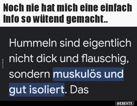 Noch nie hat mich eine einfach Info so wütend gemacht.. - Lustige Bilder | DEBESTE.de