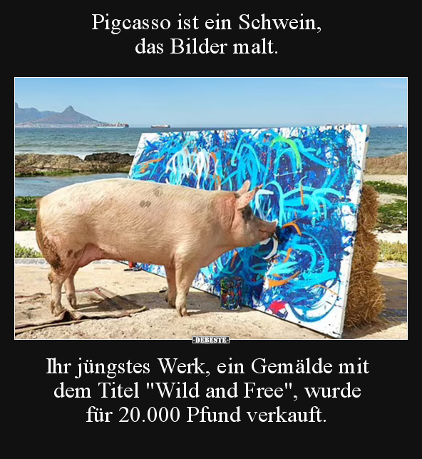 Pigcasso ist ein Schwein, das Bilder malt... - Lustige Bilder | DEBESTE.de