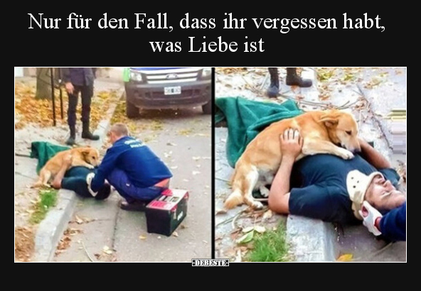 Nur für den Fall, dass ihr vergessen habt, was Liebe.. - Lustige Bilder | DEBESTE.de