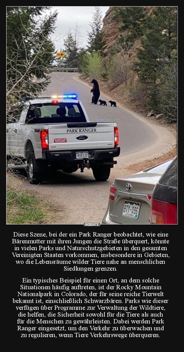 Diese Szene, bei der ein Park Ranger beobachtet, wie eine.. - Lustige Bilder | DEBESTE.de