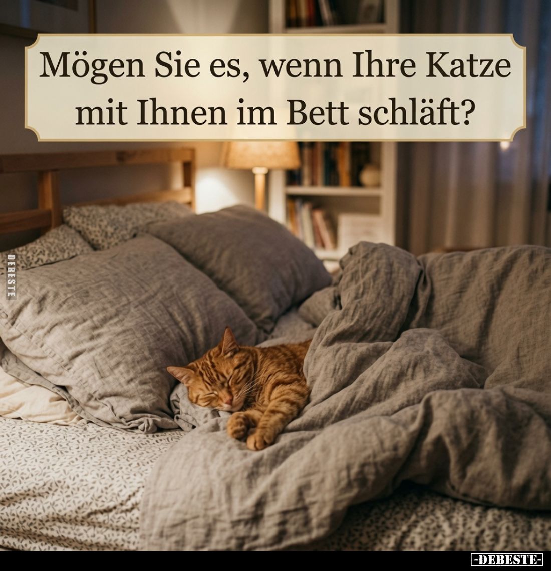 Mögen Sie es, wenn Ihre Katze mit Ihnen im Bett schläft?