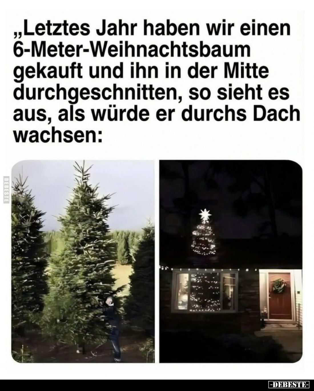 Letztes Jahr haben wir einen 6-Meter-Weihnachtsbaum... - Lustige Bilder | DEBESTE.de