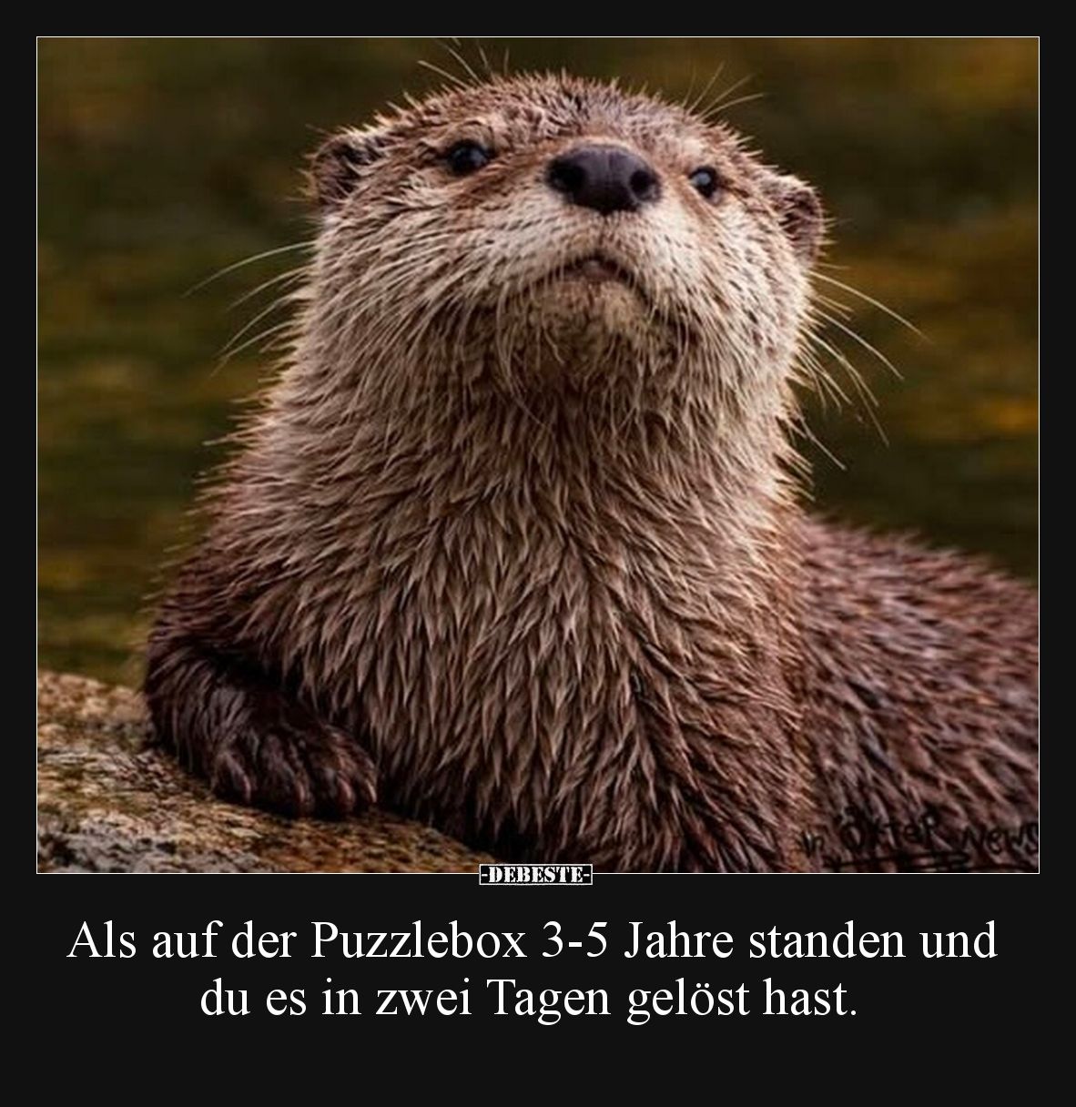 Als auf der Puzzlebox 3-5 Jahre standen und du es in zwei.. - Lustige Bilder | DEBESTE.de