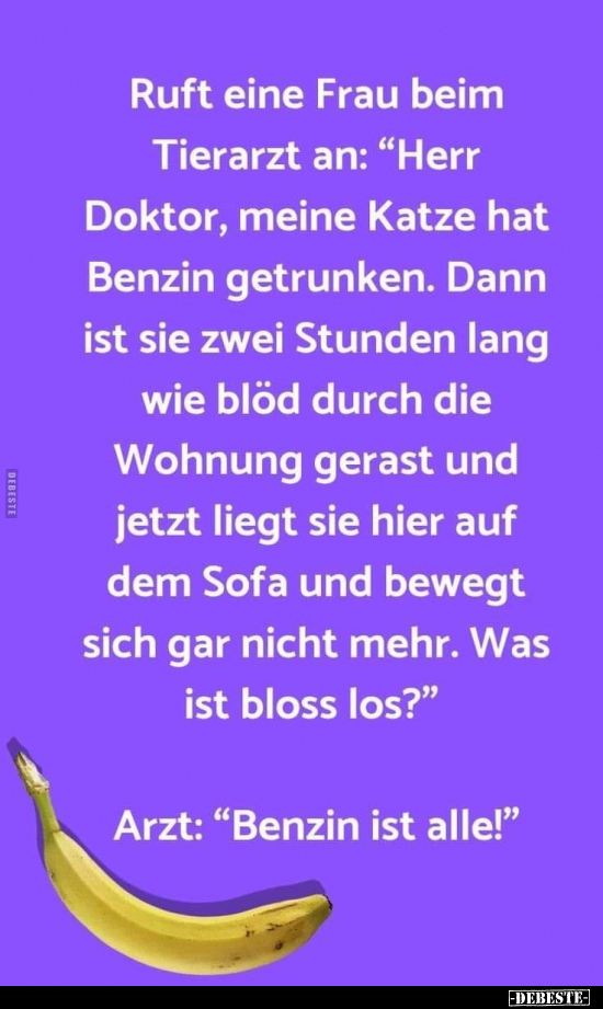 Ruft eine Frau beim Tierarzt an: "Herr Doktor, meine Katze.." - Lustige Bilder | DEBESTE.de