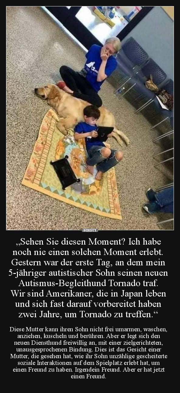 "Sehen Sie diesen Moment? Ich habe noch nie einen solchen.." - Lustige Bilder | DEBESTE.de