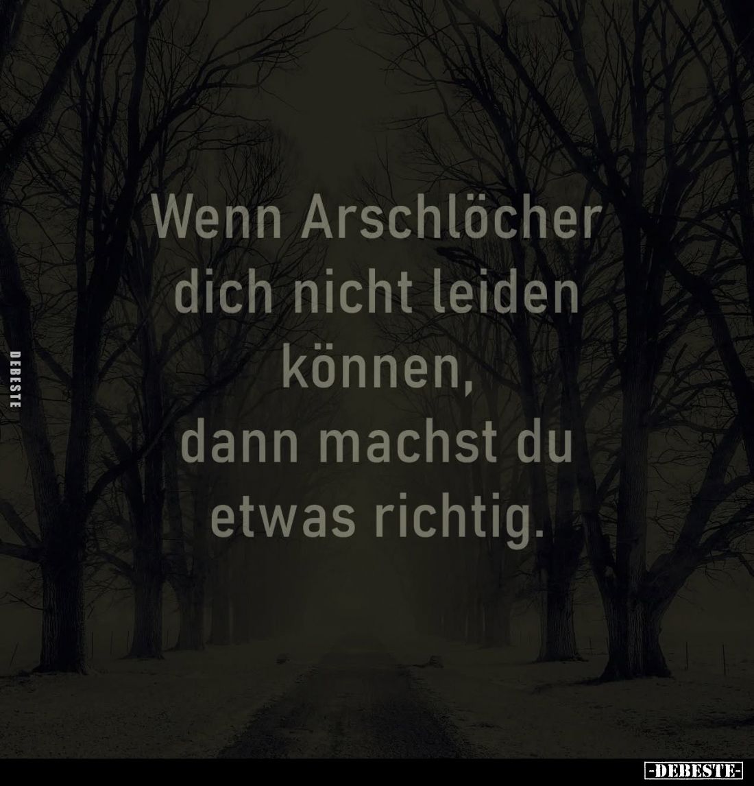 Wenn Arschlöcher
dich nicht leiden
können, dann machst du
etwas richtig.