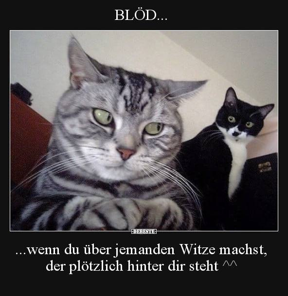 Lustige Bilder zum Thema: Witze, Witz