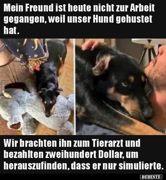 Mein Freund ist heute nicht zur Arbeit gegangen, weil unser.. - Lustige Bilder | DEBESTE.de