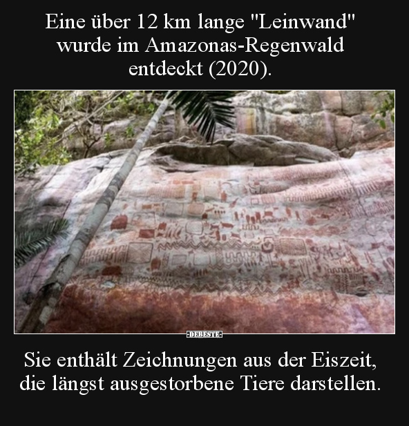 Eine über 12 km lange "Leinwand" wurde im.. - Lustige Bilder | DEBESTE.de