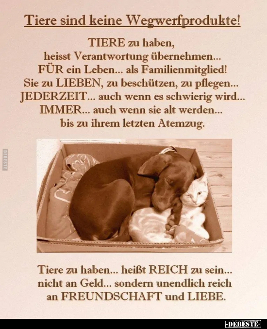 Tiere sind keine Wegwerfprodukte!.. - Lustige Bilder | DEBESTE.de