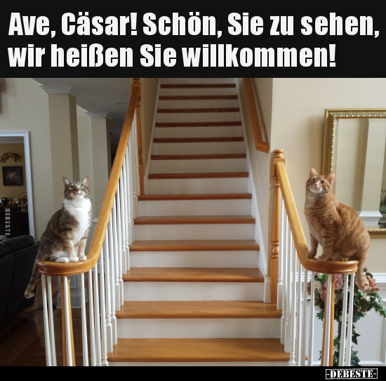 Ave, Cäsar! Schön, Sie zu sehen, wir heißen Sie willkommen!