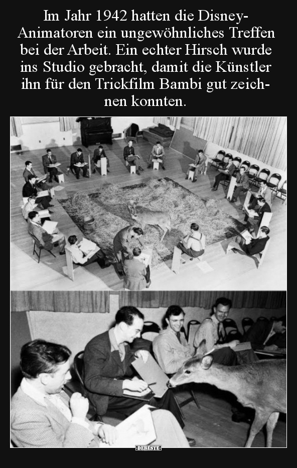 Im Jahr 1942 hatten die Disney-Animatoren ein.. - Lustige Bilder | DEBESTE.de