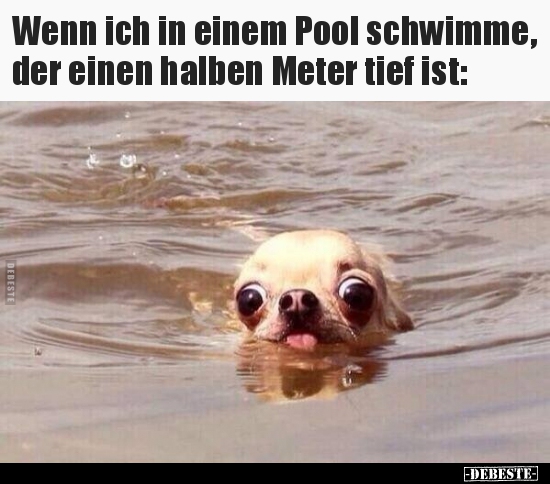 Wenn ich in einem Pool schwimme, der einen halben Meter.. - Lustige Bilder | DEBESTE.de
