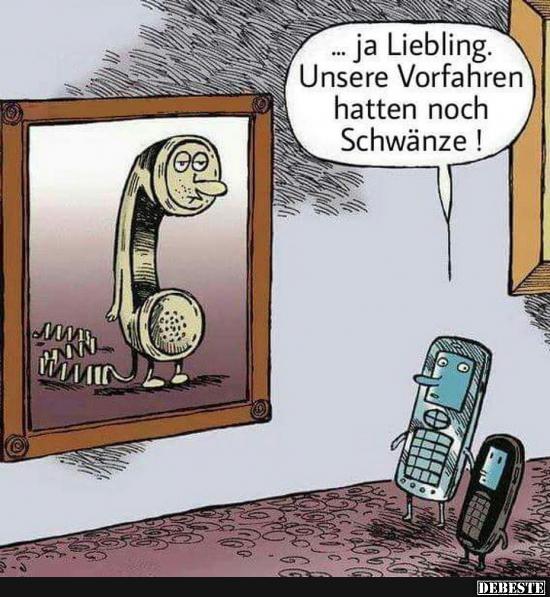 ... ja Liebling. Unsere Vorfahren hatten noch Schwänze!