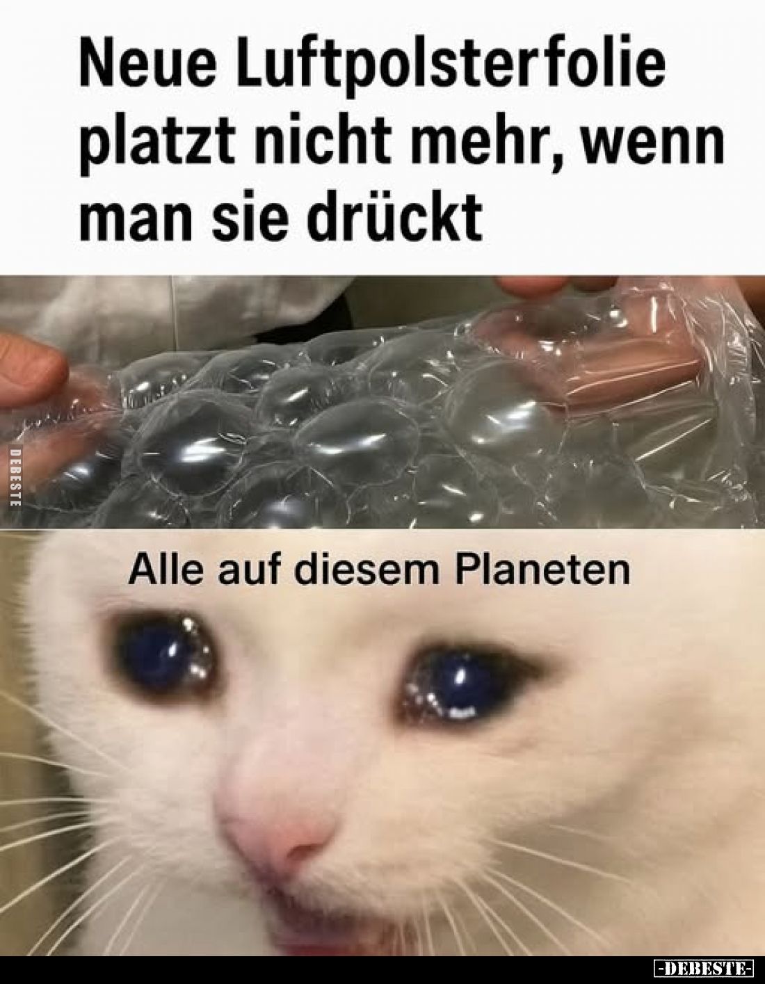 Neue Luftpolsterfolie platzt nicht mehr, wenn man sie drückt
-
Alle auf diesem Planeten
