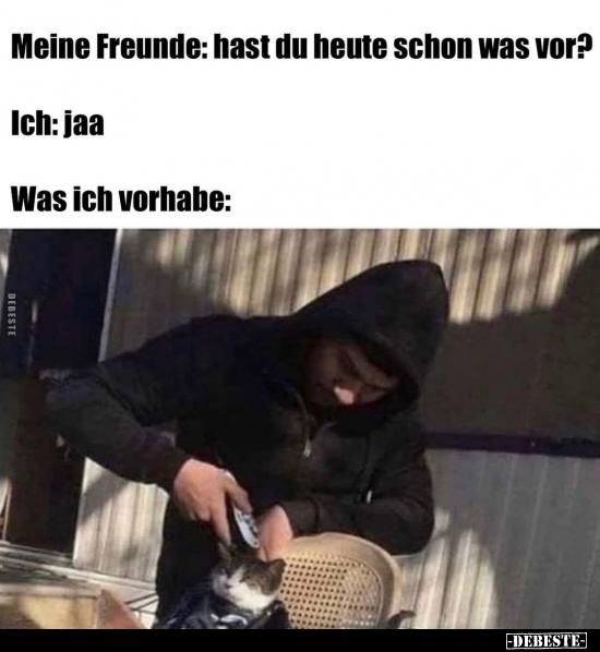 Meine Freunde: hast du heute schon was vor?.. - Lustige Bilder | DEBESTE.de