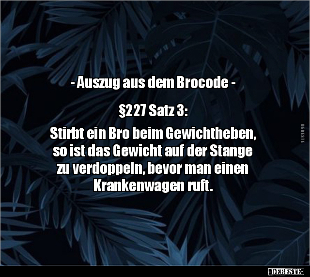 - Auszug aus dem Brocode - §227 Satz 3: Stirbt ein Bro.. - Lustige Bilder | DEBESTE.de