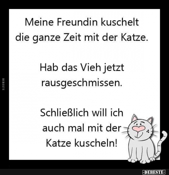Meine Freundin kuschelt die ganze Zeit mit der Katze..