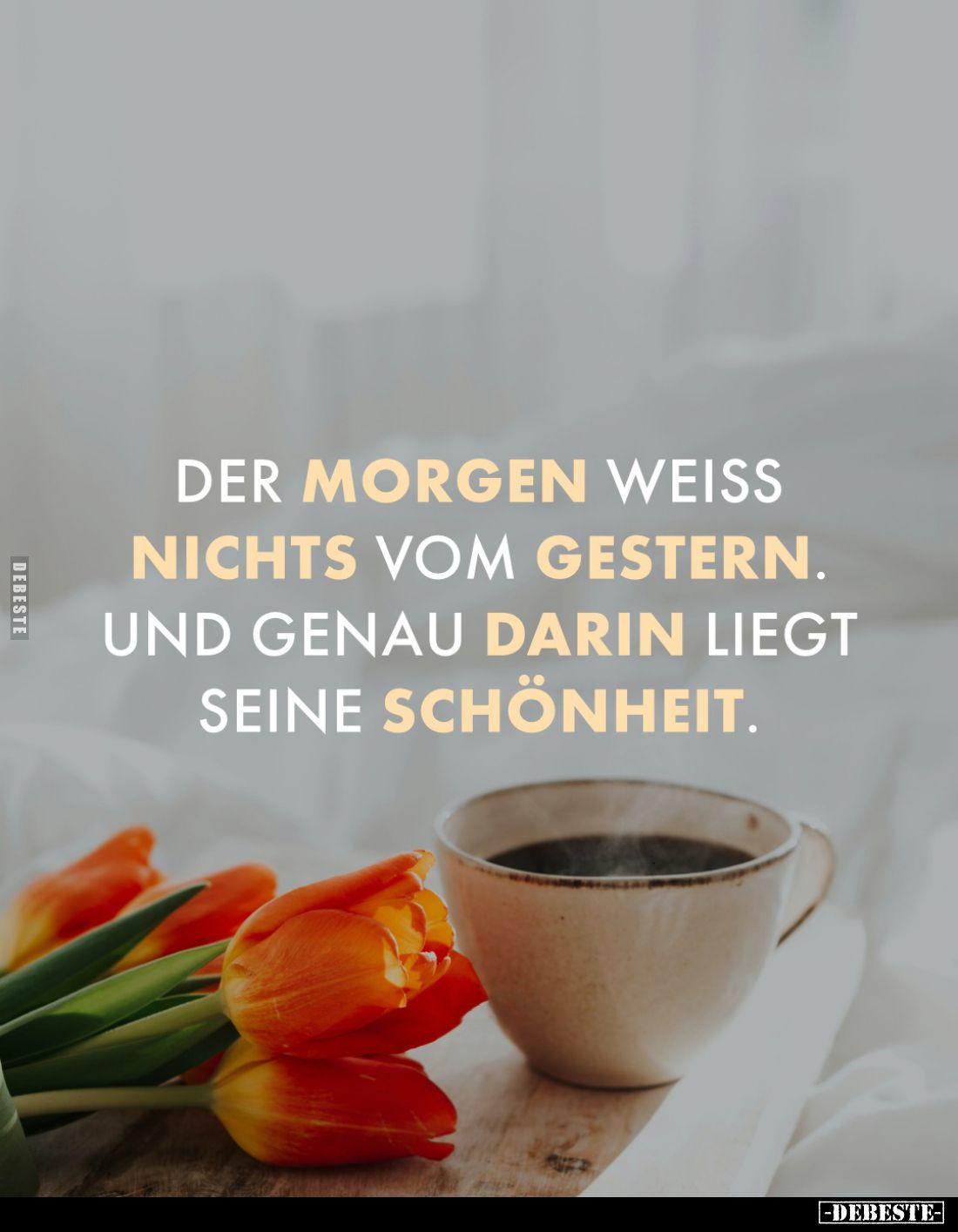 Der Morgen weiß nichts vom Gestern.
Und genau darin liegt seine Schönheit.