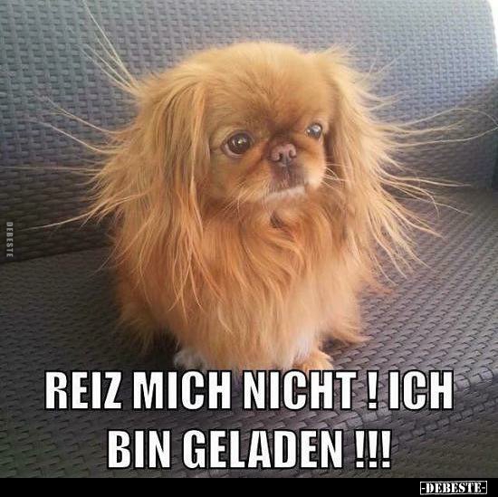 Reiz mich nicht ! Ich bin geladen!!!