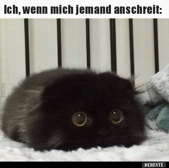 Ich, wenn mich jemand anschreit..