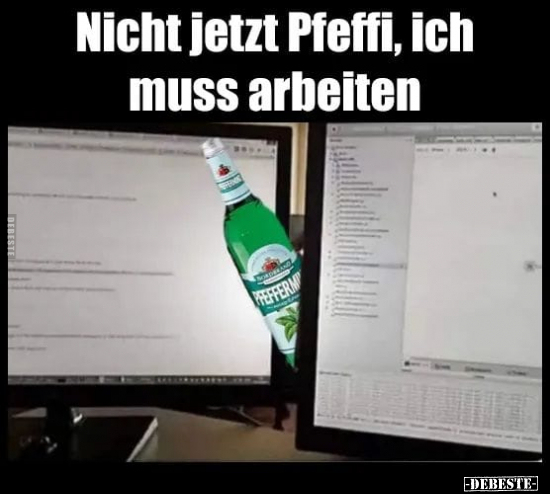 Nicht jetzt Pfeffi, ich muss arbeiten.. - Lustige Bilder | DEBESTE.de