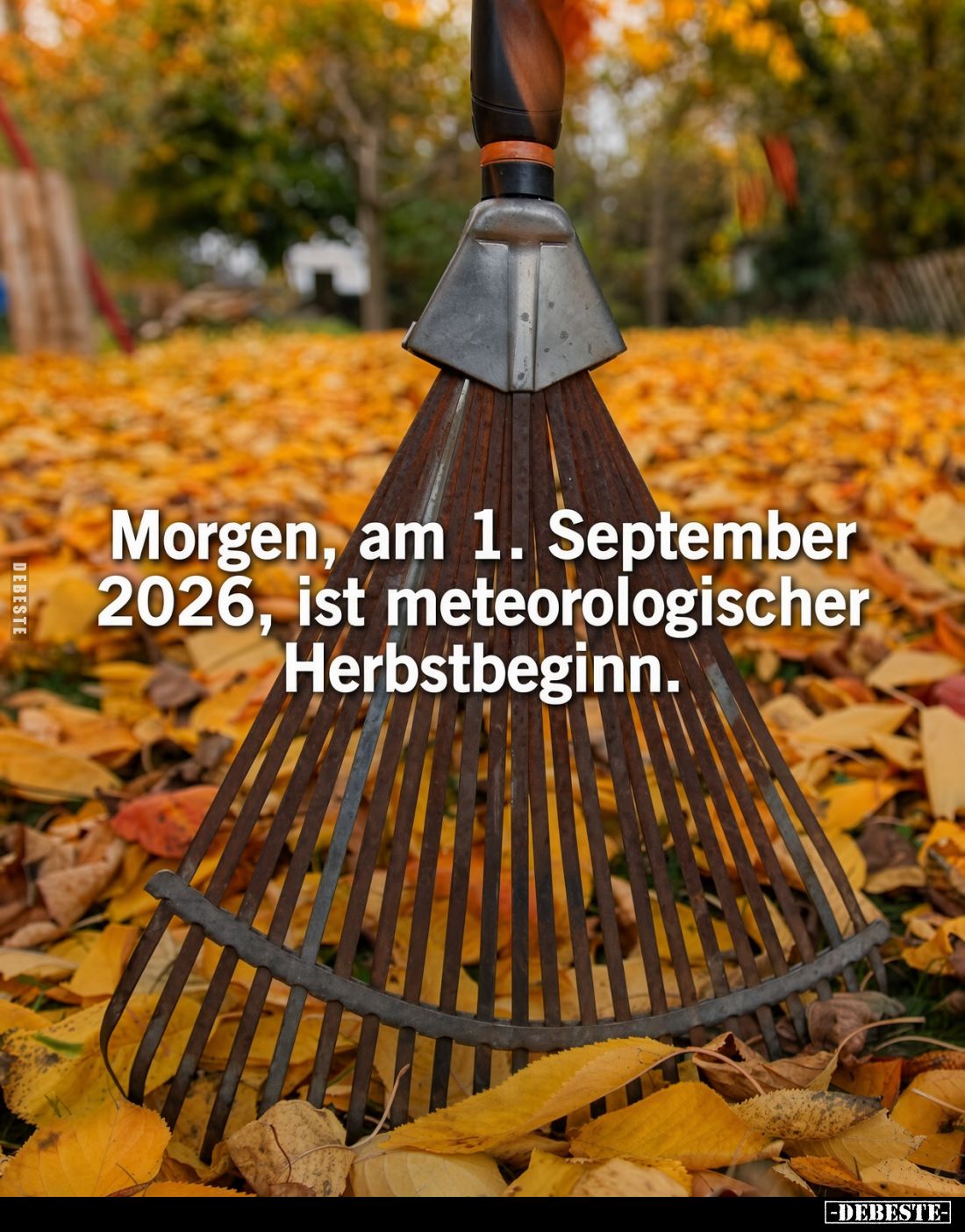 Morgen, am 1. September 2026, ist meteorologischer Herbstbeginn.