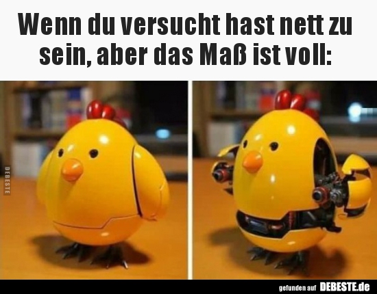 Wenn du versucht hast nett zu sein, aber das Maß ist..