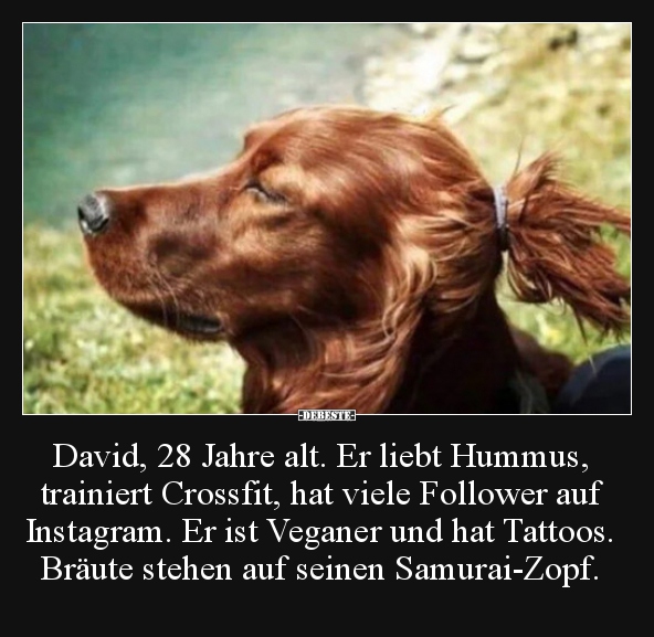 David, 28 Jahre alt. Er liebt Hummus, trainiert Crossfit.. - Lustige Bilder | DEBESTE.de