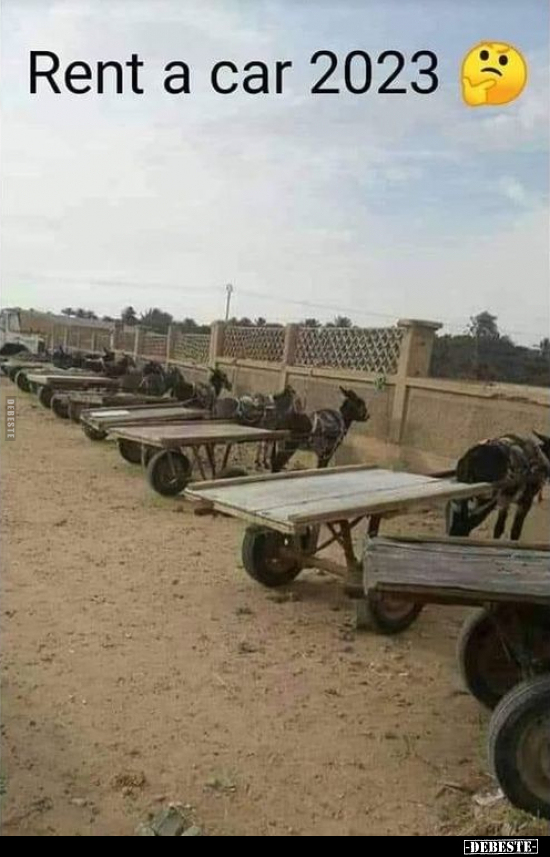  - Lustige Bilder | DEBESTE.de