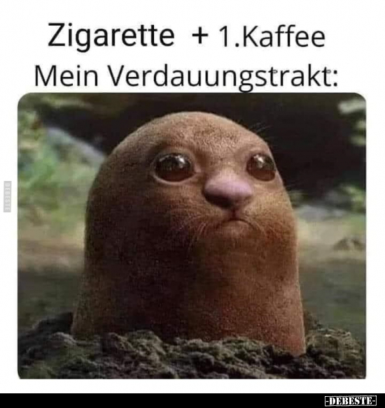 Zigarette + 1.Kaffee.. - Lustige Bilder | DEBESTE.de