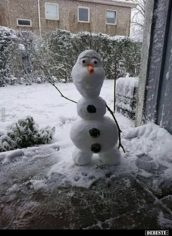  - Lustige Bilder | DEBESTE.de