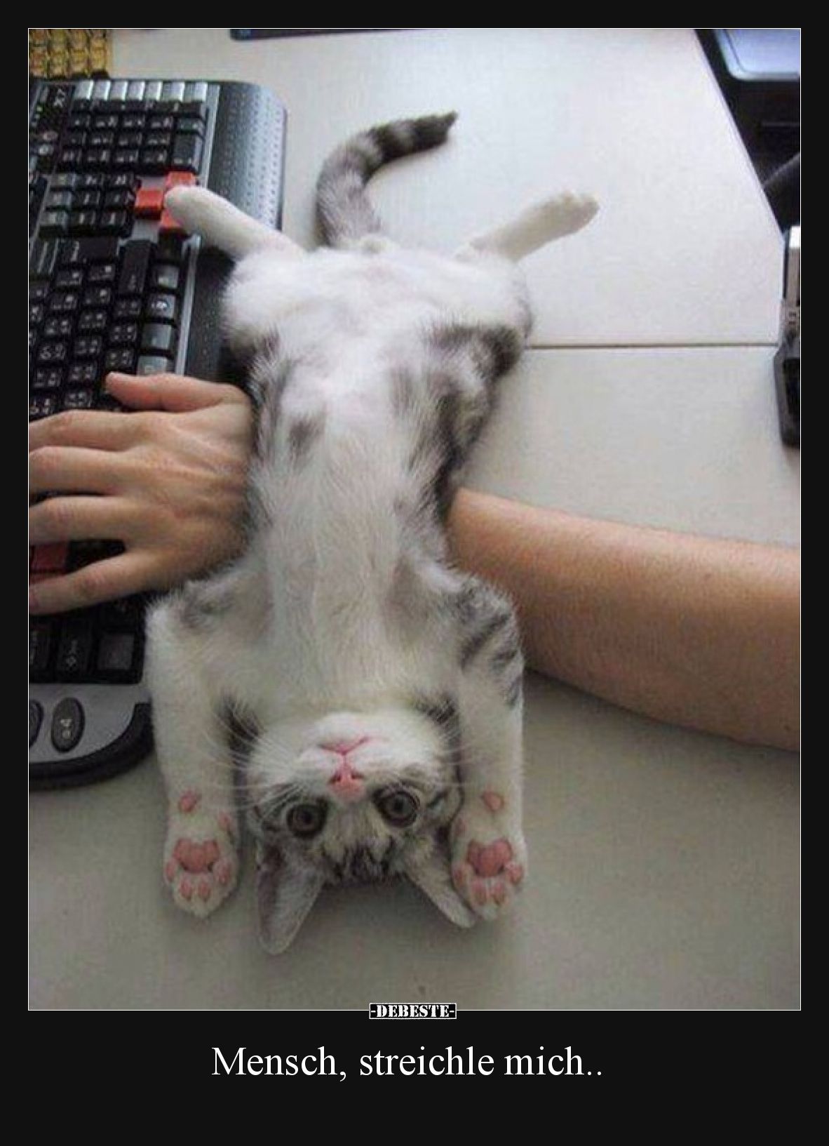 Mensch, streichle mich