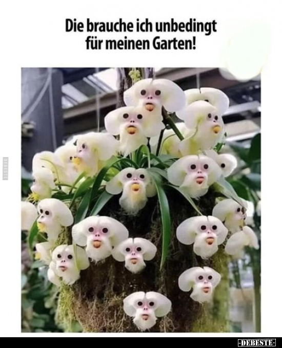 Die brauche ich unbedingt für meinen Garten!.. - Lustige Bilder | DEBESTE.de
