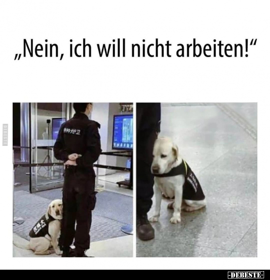 "Nein, ich will nicht arbeiten!".. - Lustige Bilder | DEBESTE.de