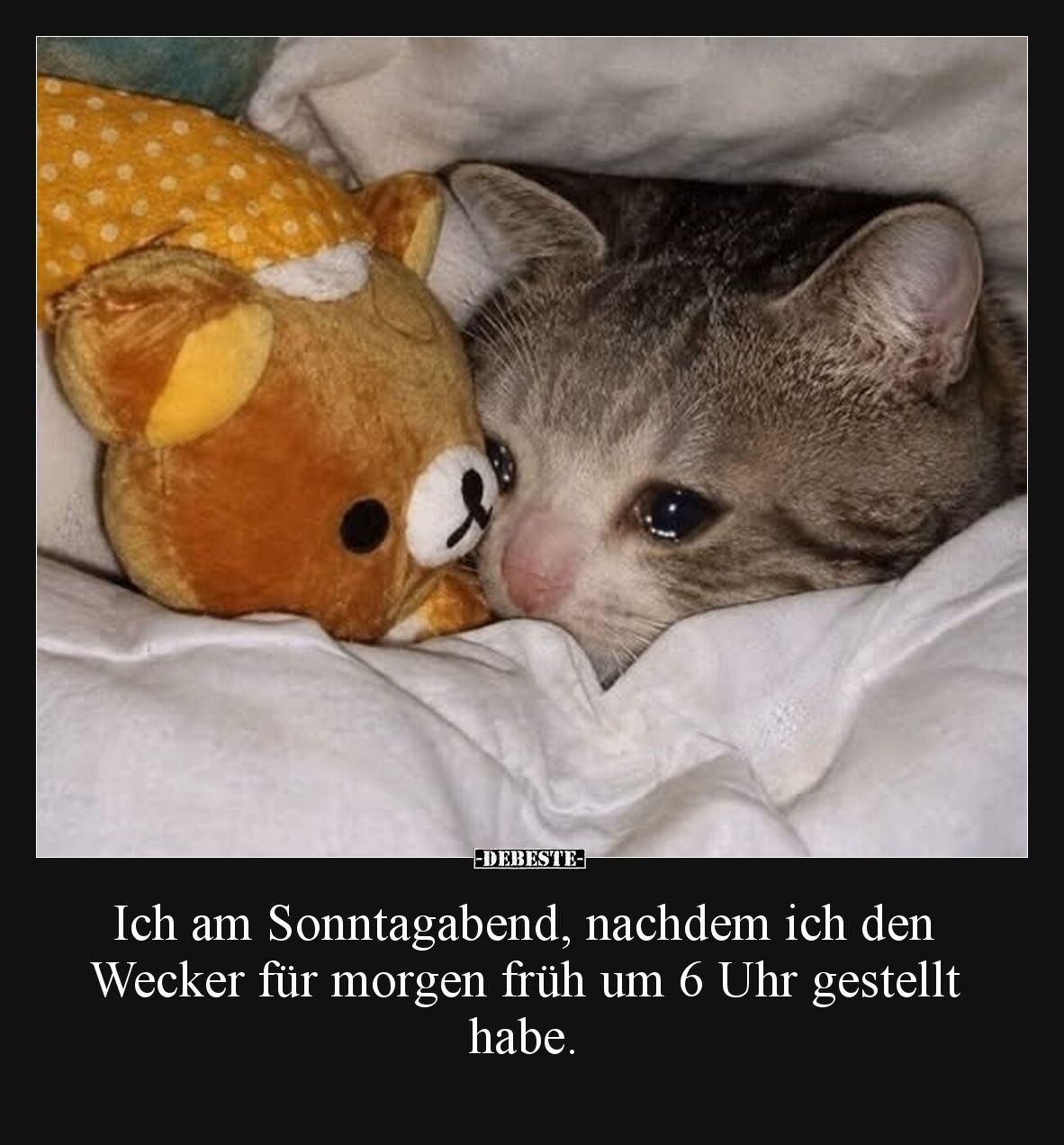 Ich am Sonntagabend, nachdem ich den
Wecker für morgen früh um 6 Uhr gestellt habe.
