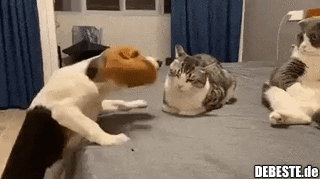 Krawall und Remmidemmi..